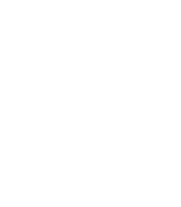 logo_anepf